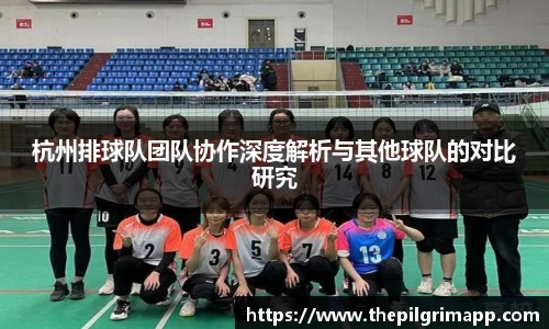 杭州排球队团队协作深度解析与其他球队的对比研究
